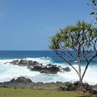 Hawaii - Maui Road to Hana - Nahiku