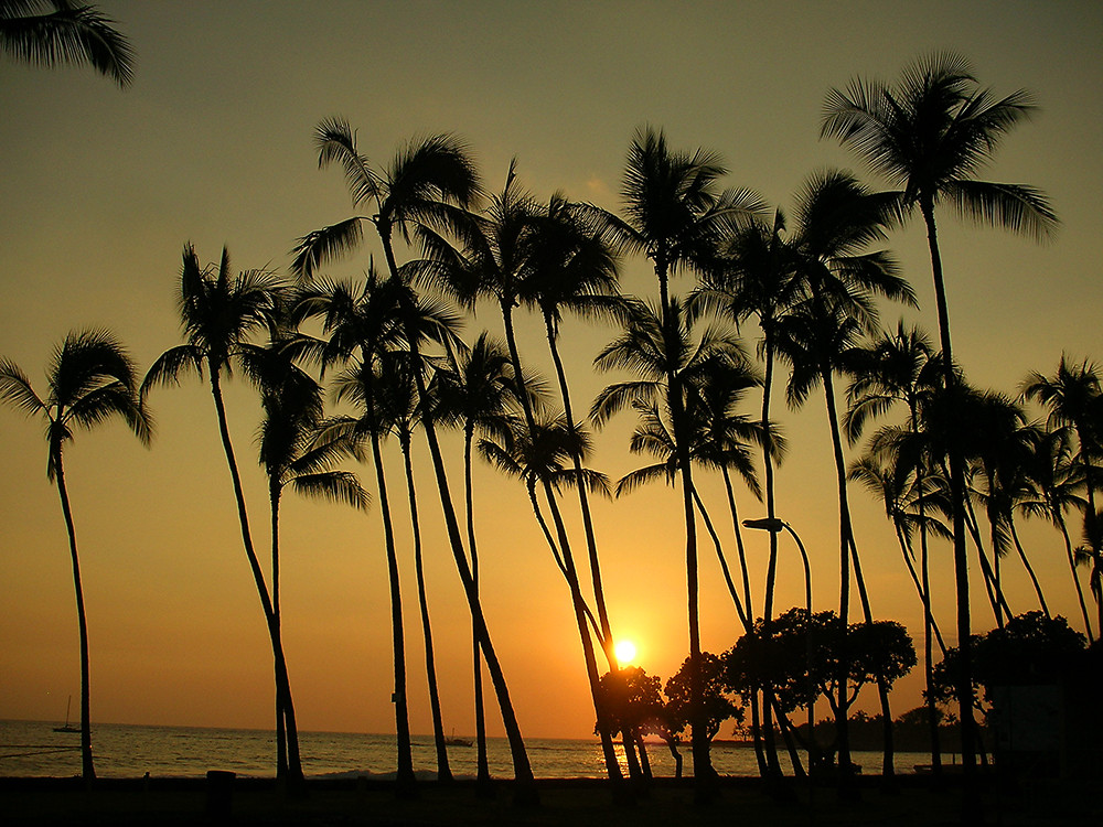 Hawaii Sunset