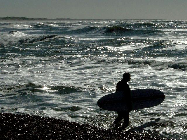 Hawaii-Träume an der Nordsee