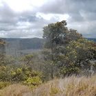 Hawaii Volcano National Park