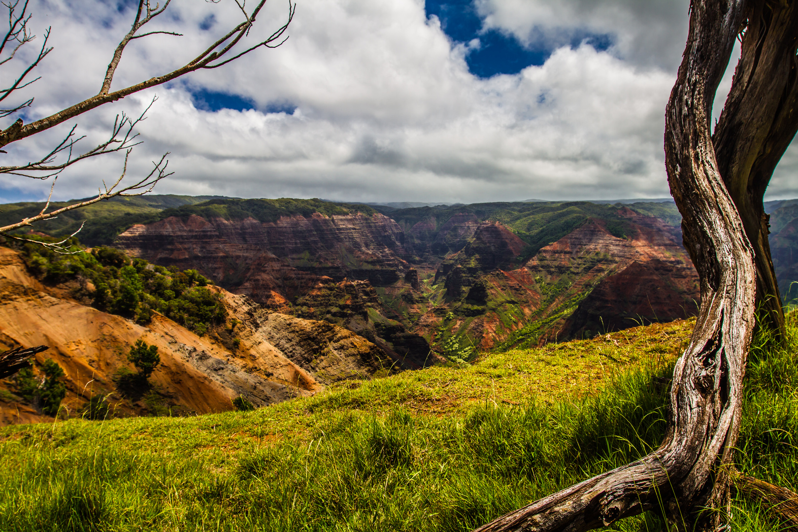 Hawaii - WAIMEA