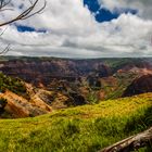 Hawaii - WAIMEA