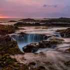 Hawaiian Blowhole Coast