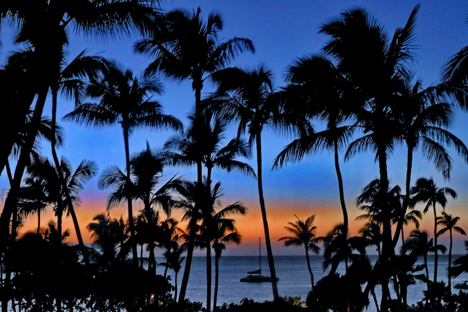 Hawaiian Cocktail Hour