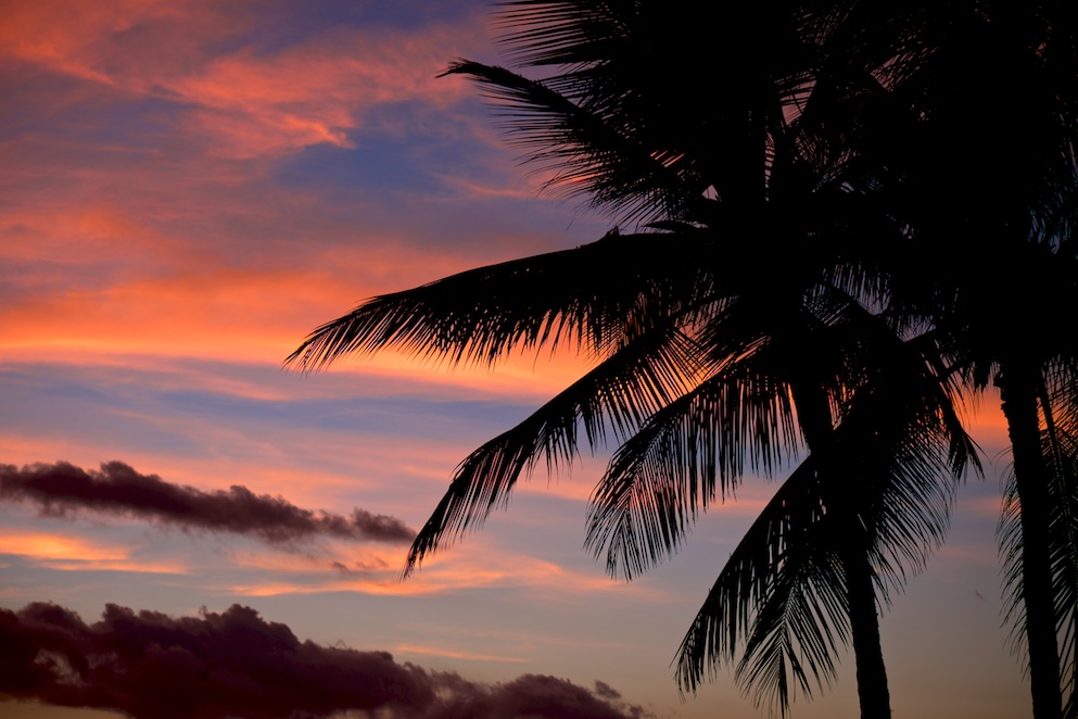 Hawaiian Postcard