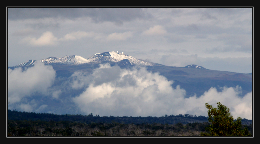 Hawaiian Snow