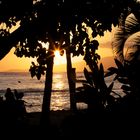 Hawaiian Sunset at Waikiki Beach