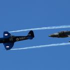 Hawker Family | Sea Fury and Hunter