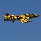 Hawker Hunter