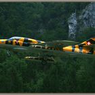 Hawker Hunter HB-RVV (J-4206) Mollis 2019-08-17 014 ©