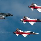 Hawker Hunter & Northrop F-5 E/F Tiger II Patrouille Suisse