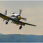  Hawker Sea Fury