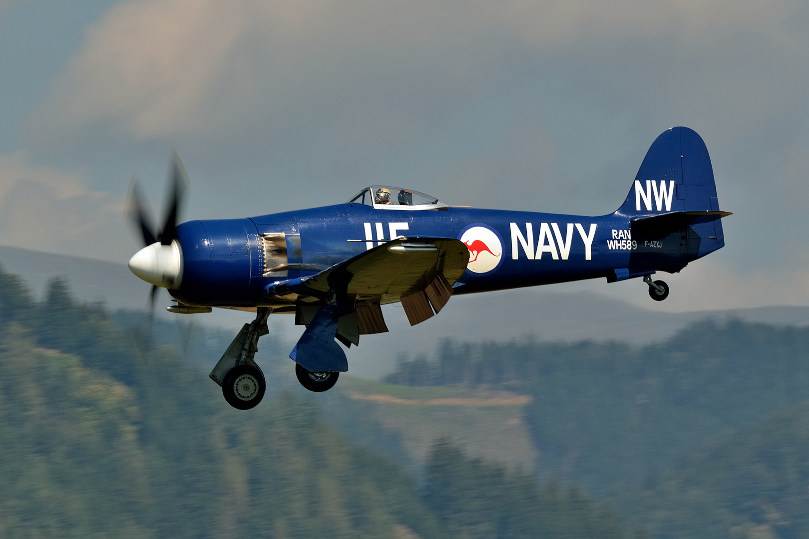 Hawker Sea Fury