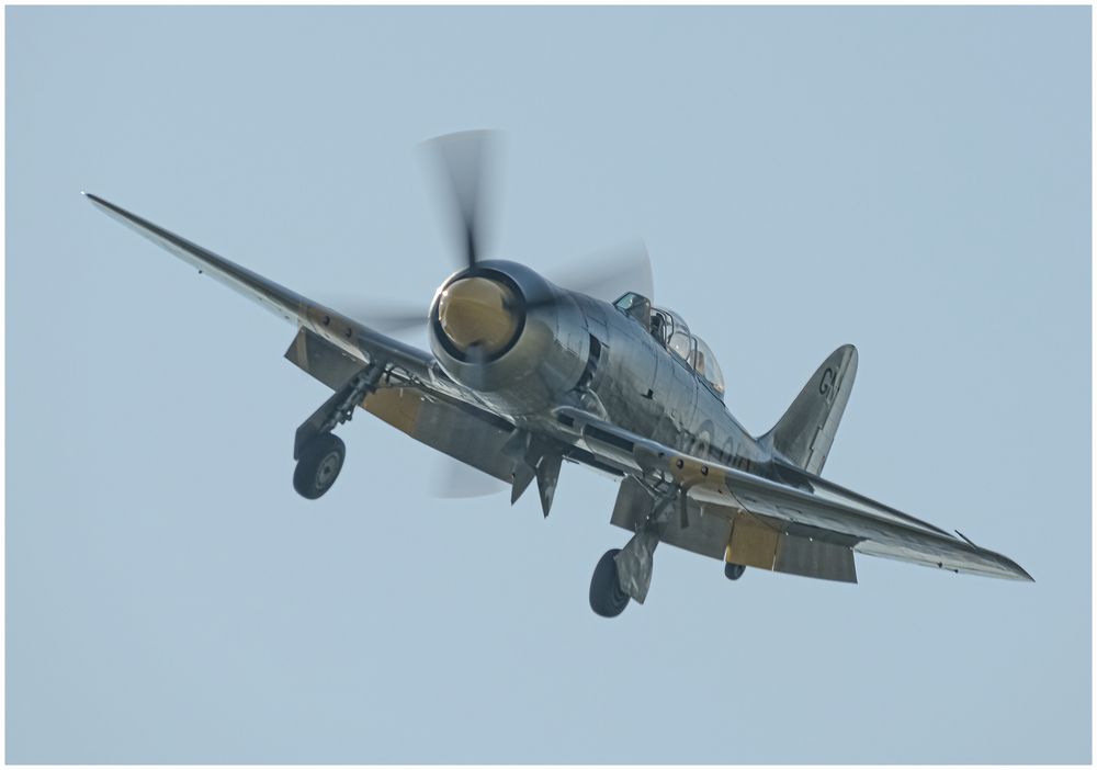 Hawker Sea Fury 