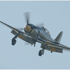 Hawker Sea Fury 