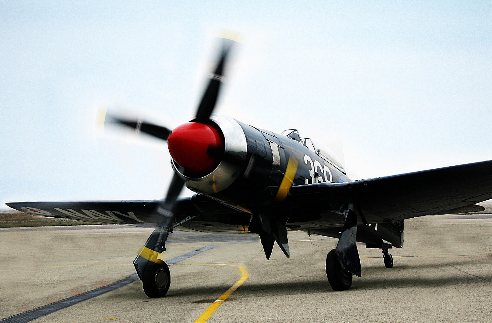 Hawker Sea Fury