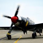 Hawker Sea Fury