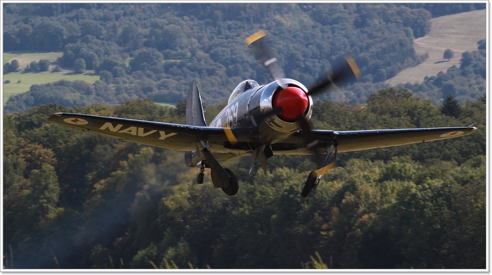 HAWKER SEA FURY  -  F-AZXL  -  HAHNWEIDE 2009