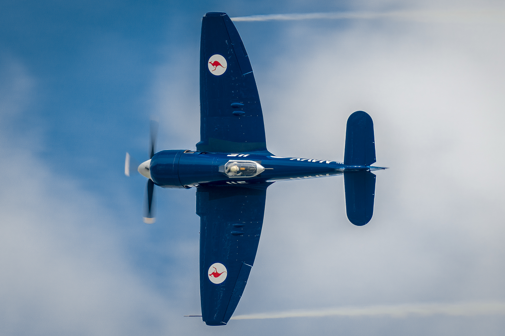 Hawker Sea Fury FB11