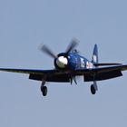Hawker Sea Fury FB11