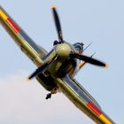 Hawker Sea Hurricane Ib