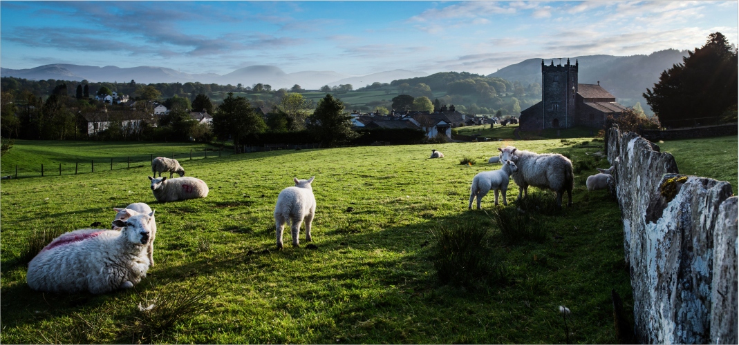 Hawkshead