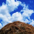 Hay and sky