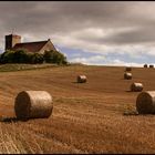 Hay Bale (1)