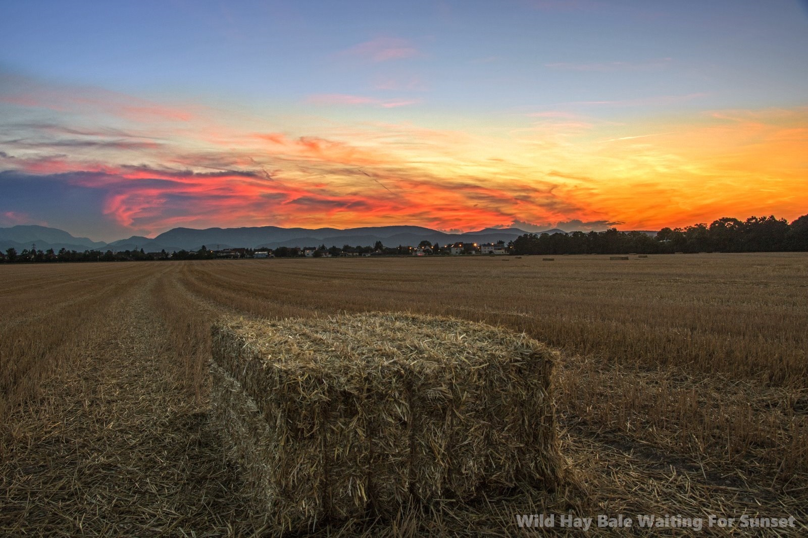 Hay Bale