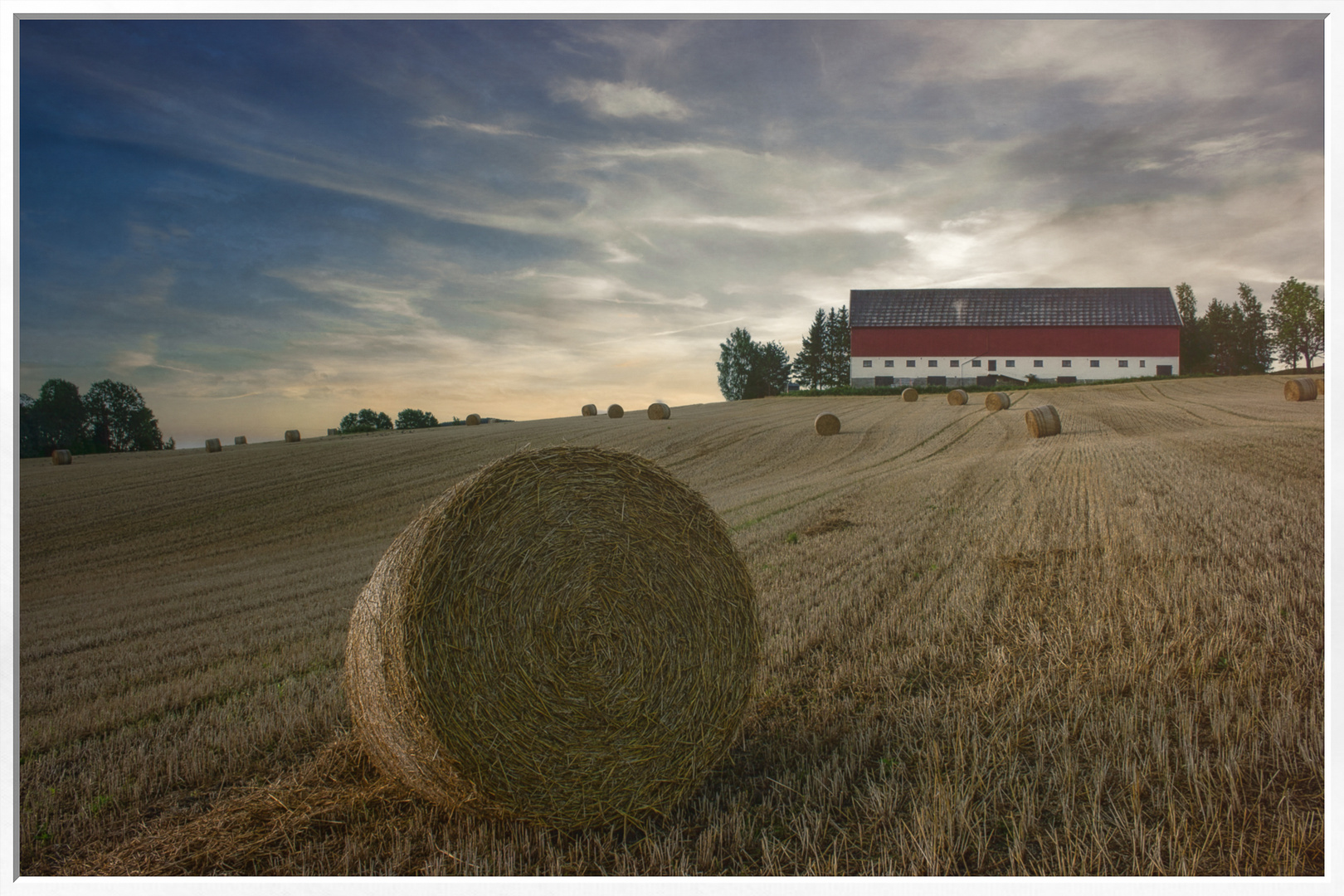 Hay Bale by Tony