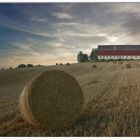 Hay Bale by Tony