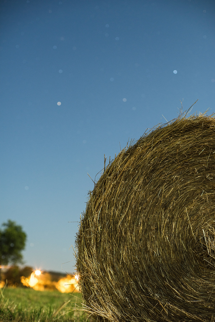 Hay bale field