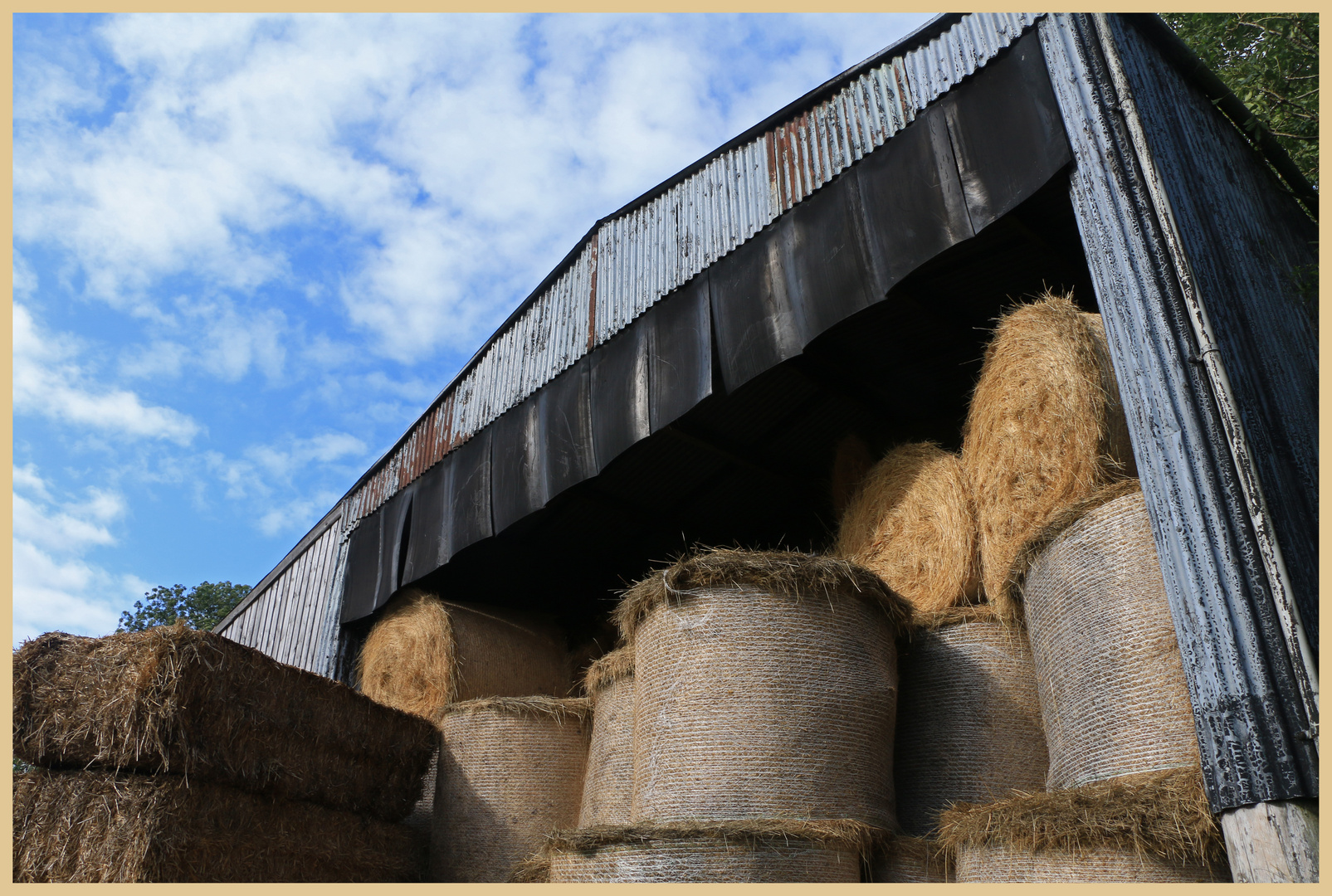 hay bales at dalehead farm