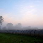 Hay bales - Heuballen