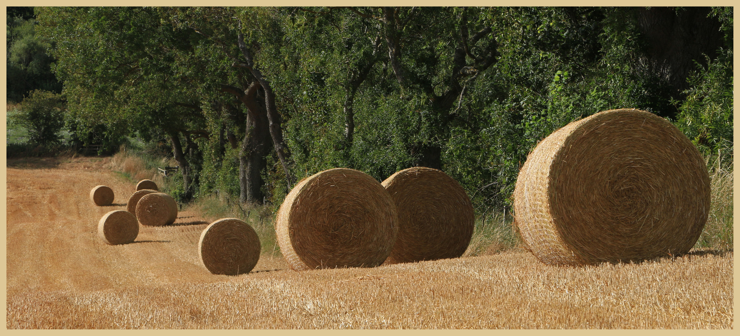 hay bales near great Tosson