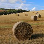 hay bales near st abbs 3b