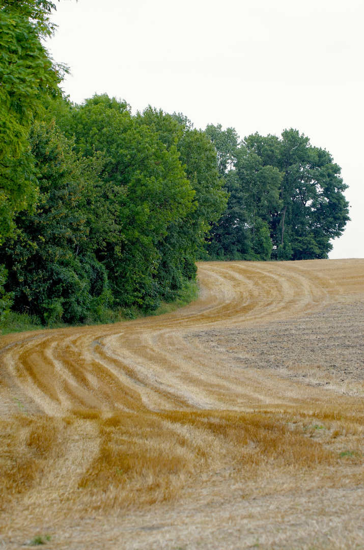 Hayboarding