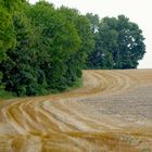 Hayboarding