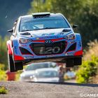 Hayden Paddon fliegt durch die Weinberge