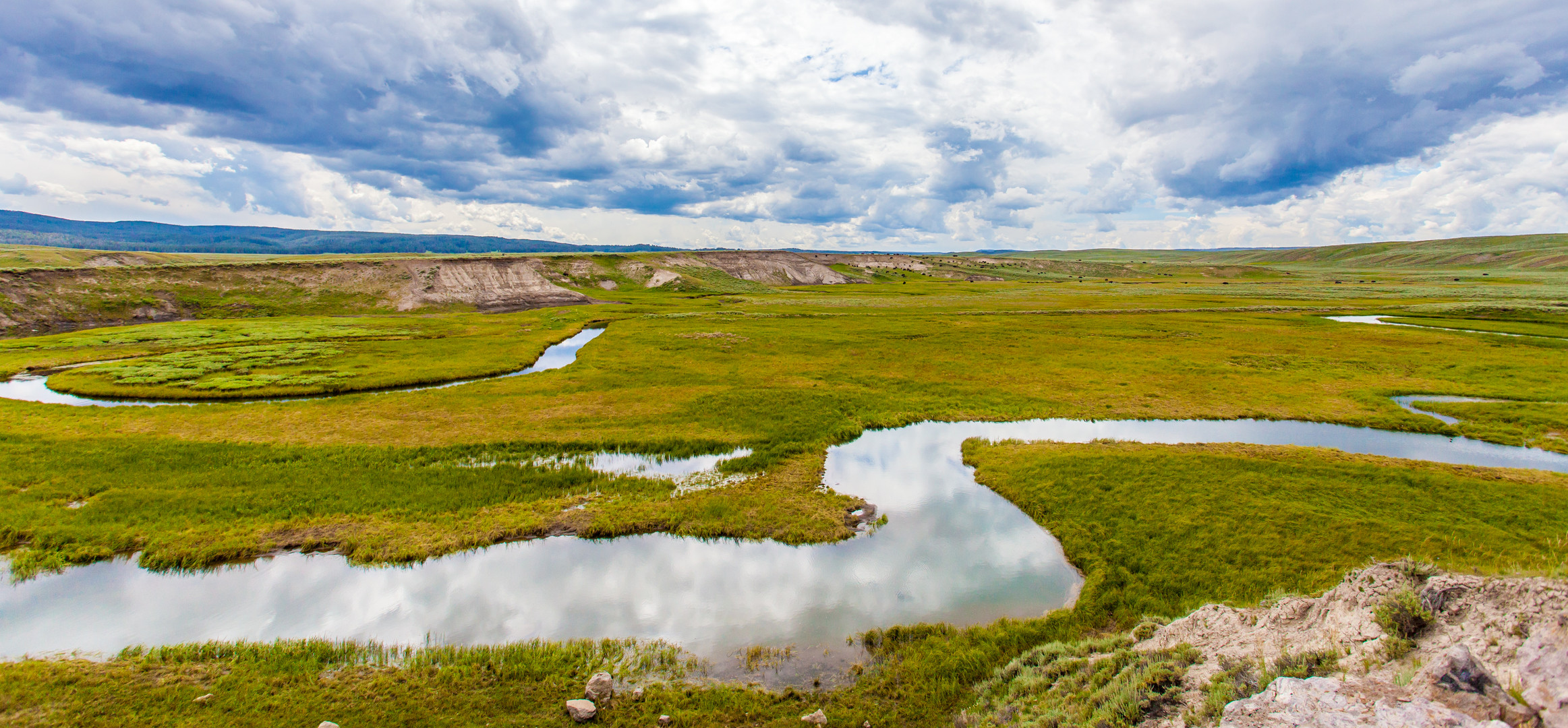 Hayden Valley