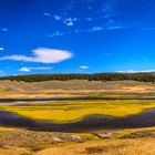 Hayden Valley Panorama, Wyoming, USA