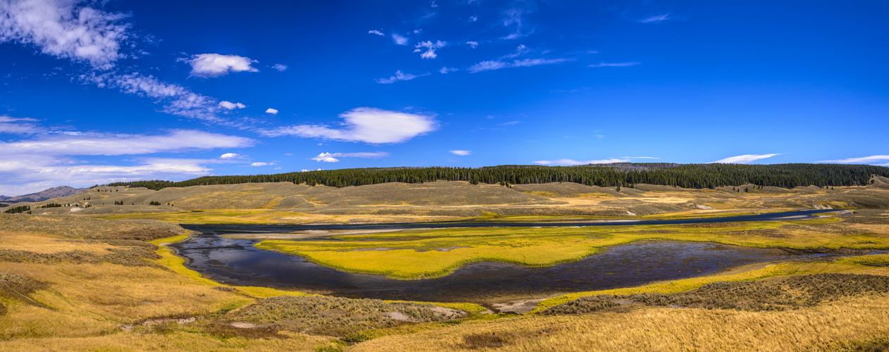 Hayden Valley Panorama, Wyoming, USA