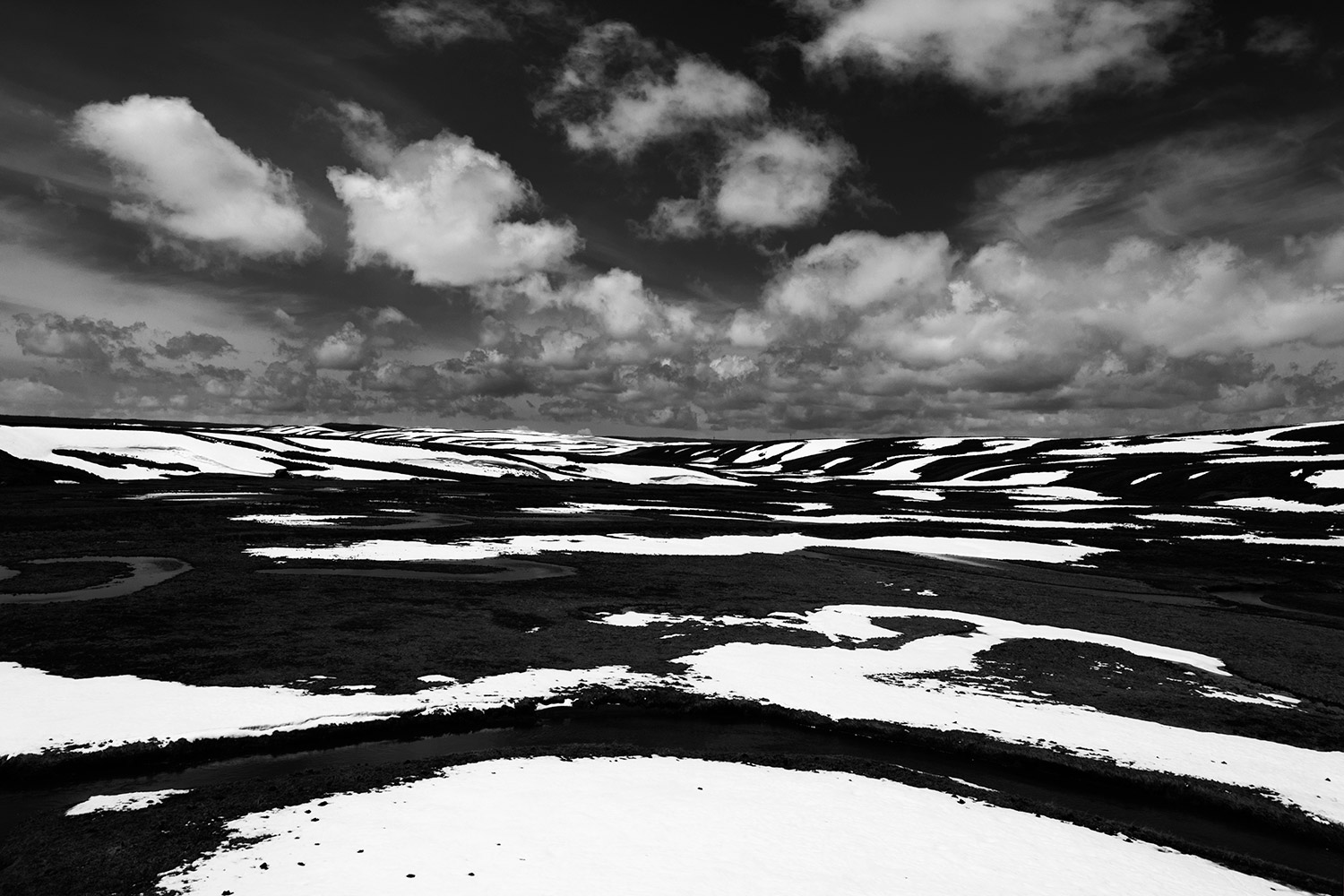 Hayden Valley - Yellowstone