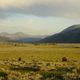 Hayden Valley, Yellowstone National Park, Wyoming, USA