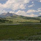 Hayden Valley, Yellowstone NP