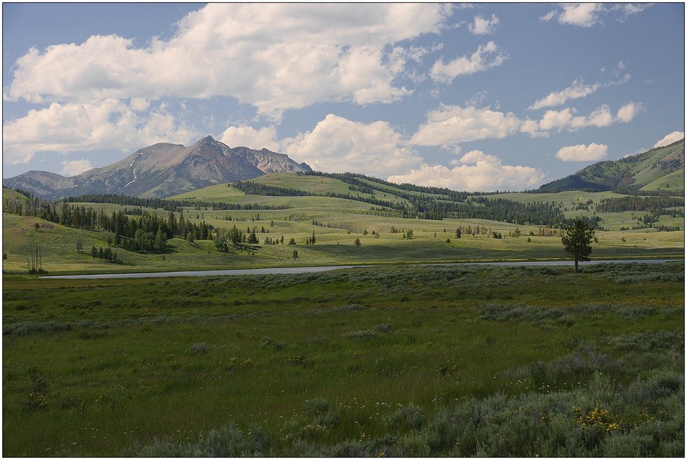 Hayden Valley, Yellowstone NP