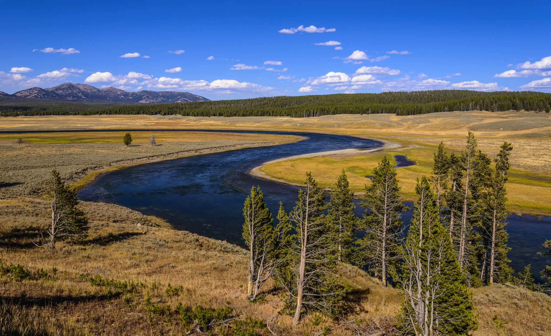 Hayden Valley, Yellowstone River Schleife, Wyoming, USA