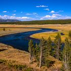 Hayden Valley, Yellowstone River Schleife, Wyoming, USA