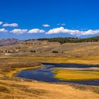 Hayden Valley, Yellowstone River, Wyoming, USA