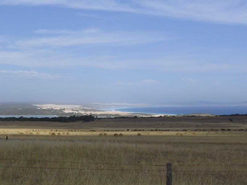 hayfield overlooking Sleaford Bay and Sleaford Mere, south of Port Lincoln